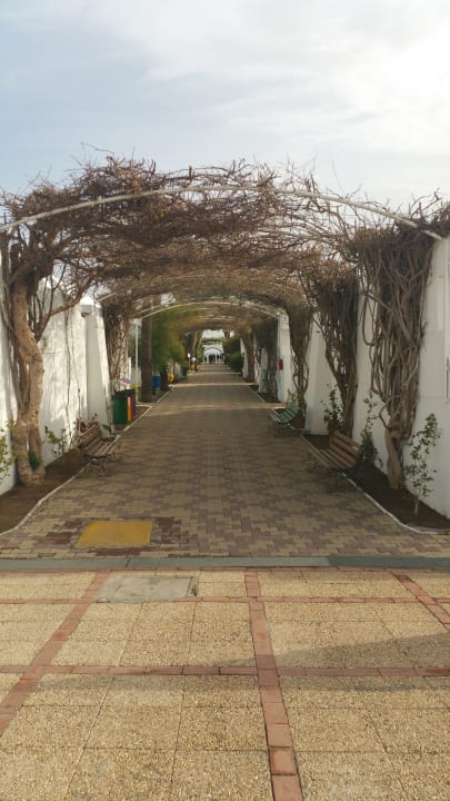 Gartenanlage El Mouradi Club Kantaoui