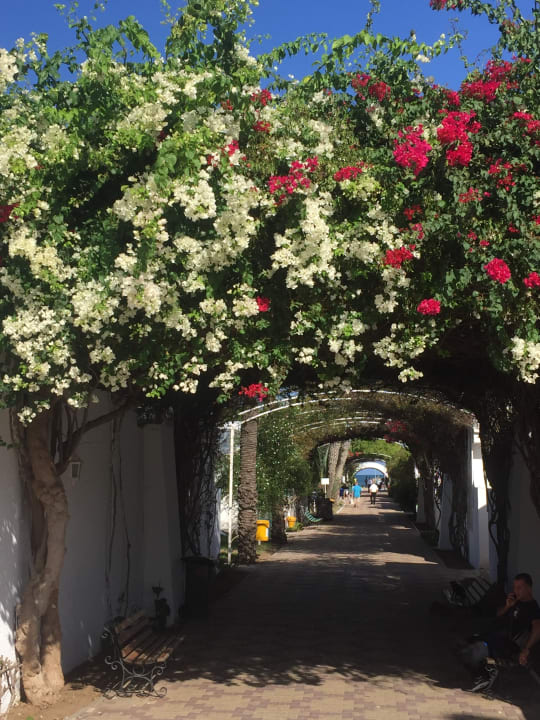 Gartenanlage El Mouradi Club Kantaoui