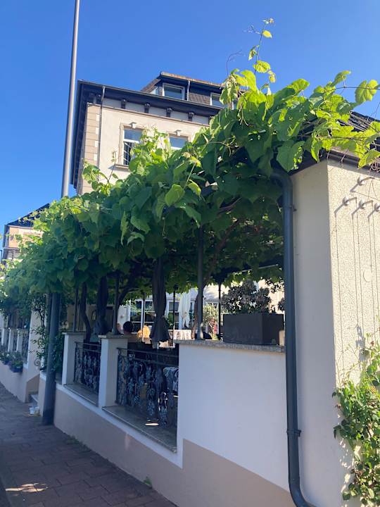 Gastro Hotel Zwei Mohren