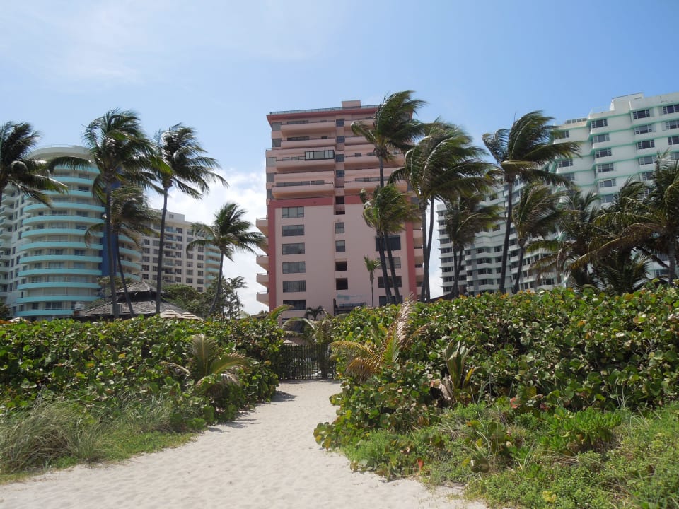 Hotel Hotel Alexander All Suite Oceanfront Resort