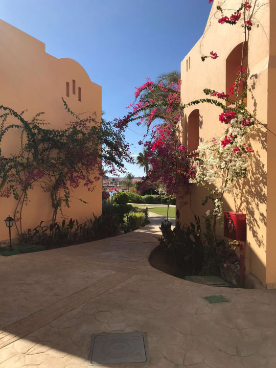 Gartenanlage Steigenberger Coraya Beach - Adults only