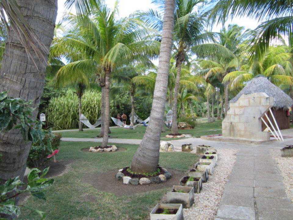 Hängematten  Melia Las Antillas - Adults only