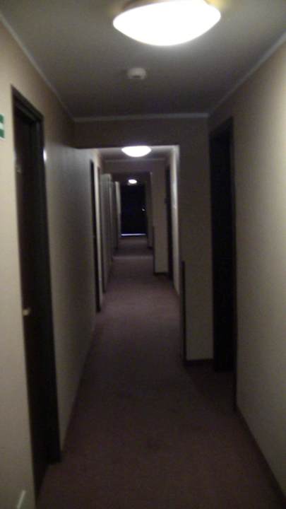 Flur zum Zimmer Park Hotel Tryszczyn