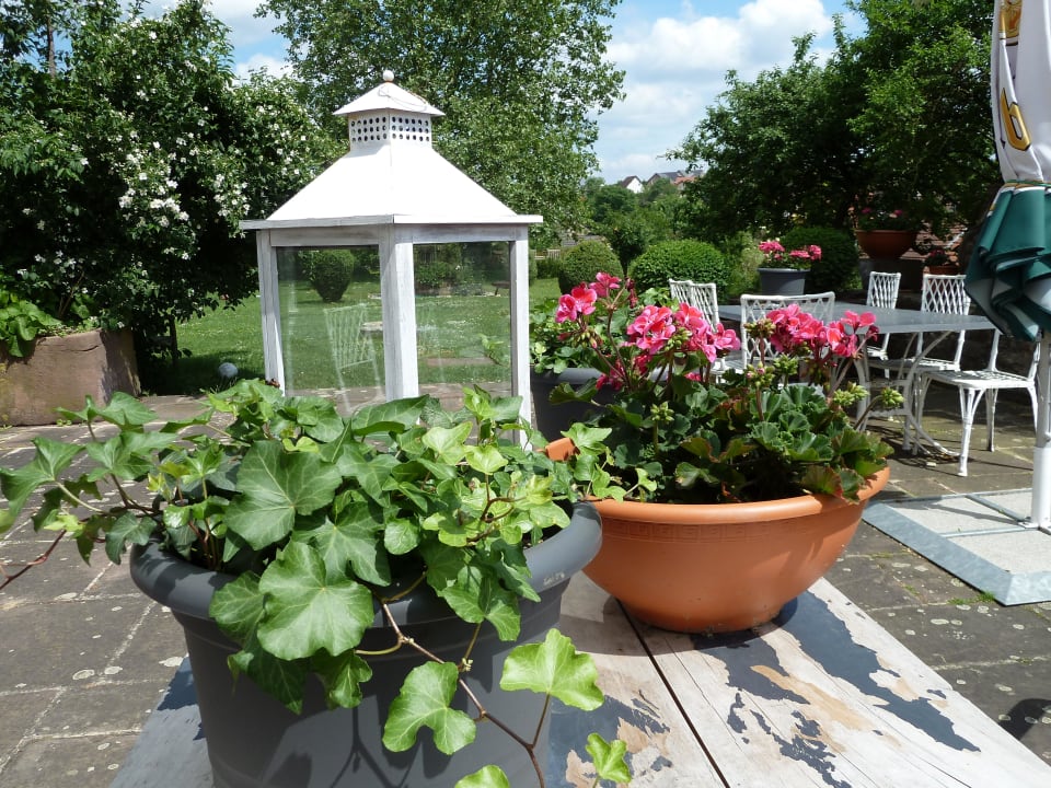 Terrasse Hotel zum alten Brauhaus