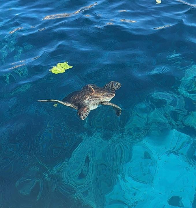 Sport & Freizeit Hotel Grecian Bay