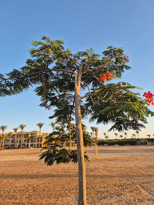 Gartenanlage Jaz Solaya