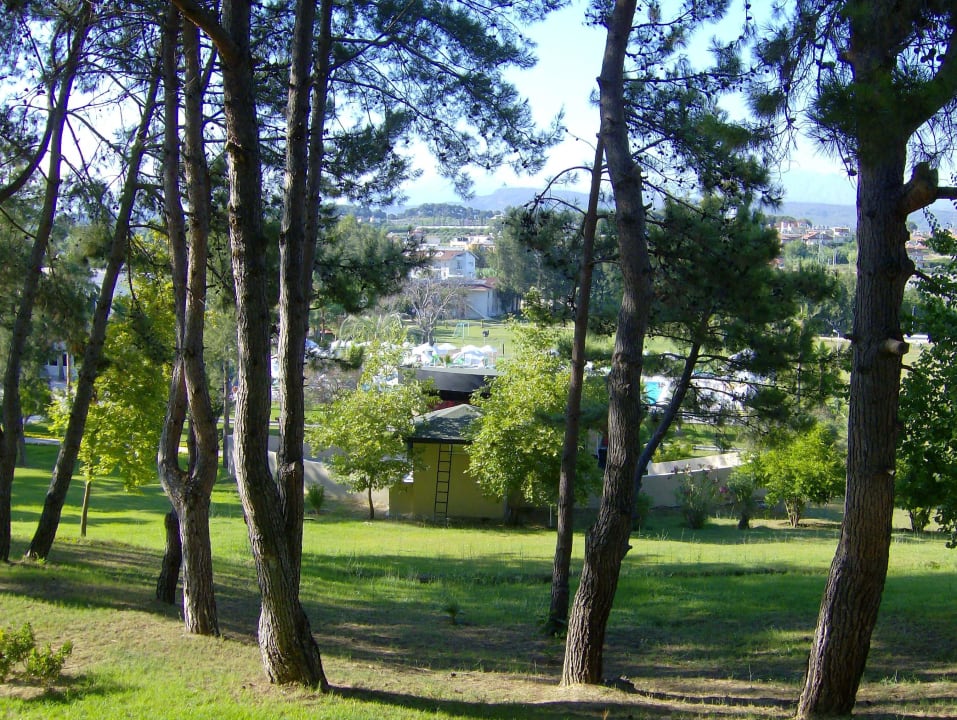 Ausblick vom Balkon. Club Sidelya Hotel