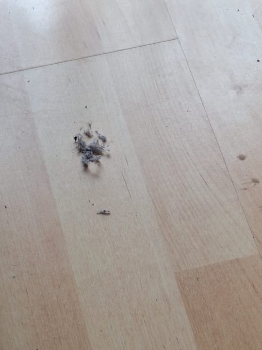 Zimmer Hotel Salzburgerhof