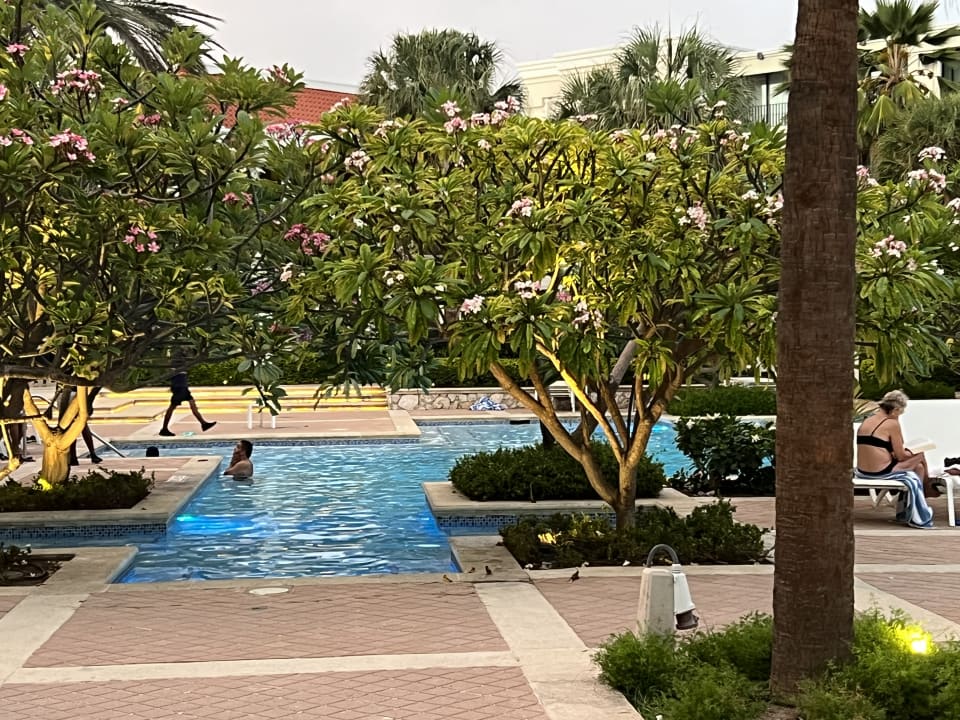 Pool Curacao Marriott Beach Resort