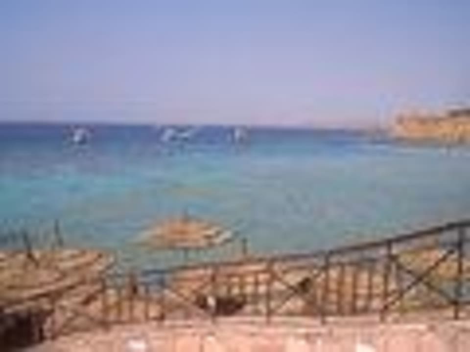 Blick in die Bucht JAZ Fanara Resort