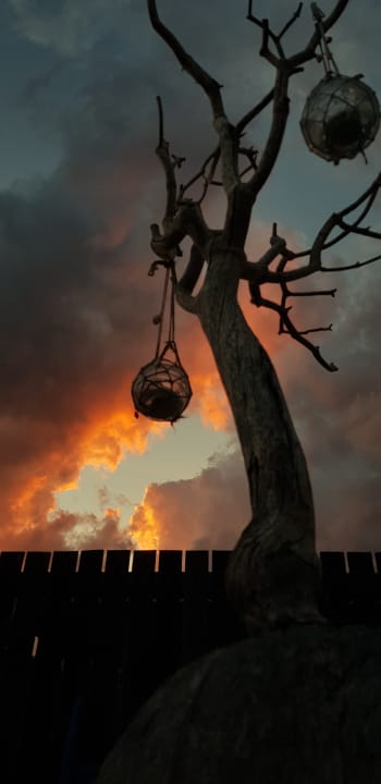 Ausblick Hotel Apollon