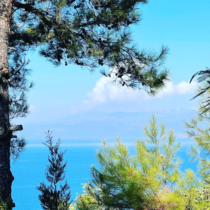 Ausblick Hotel Pine Bay Holiday Resort