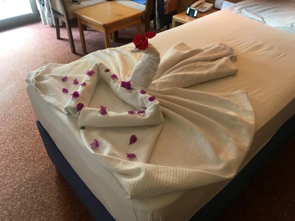 Zimmer Alba Resort Hotel