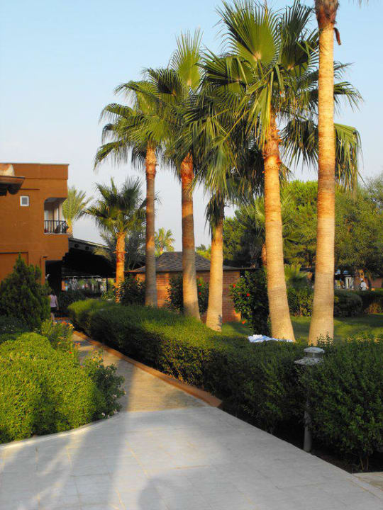 Abendstimmung im Garten Club Turtas Beach Hotel