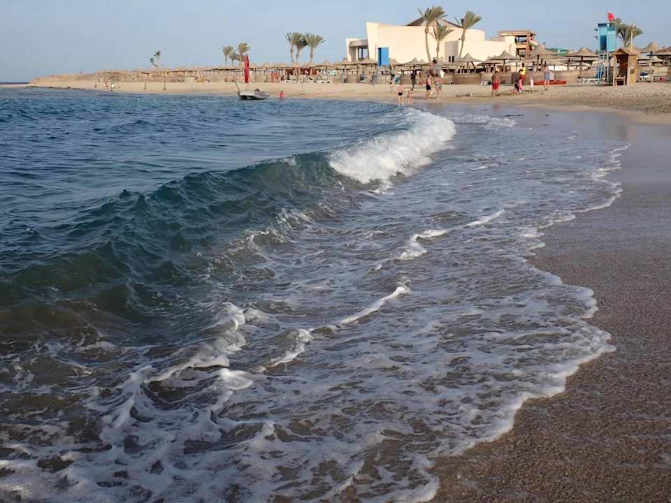 Strand Malikia Resort Abu Dabbab