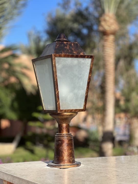 Gartenanlage Jaz Makadi Oasis Resort