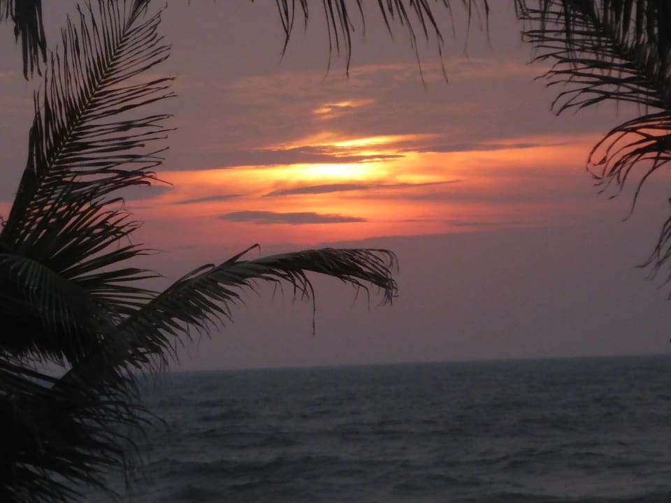 Ausblick Club Hotel Dolphin