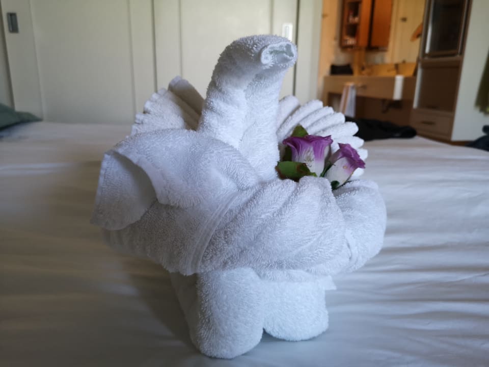 Zimmer Sentido Trendy Verbena Beach