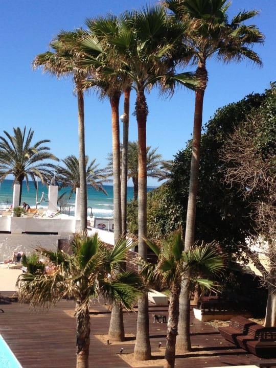 Terrasse mit Meerblick Iberostar Waves Bahia de Palma