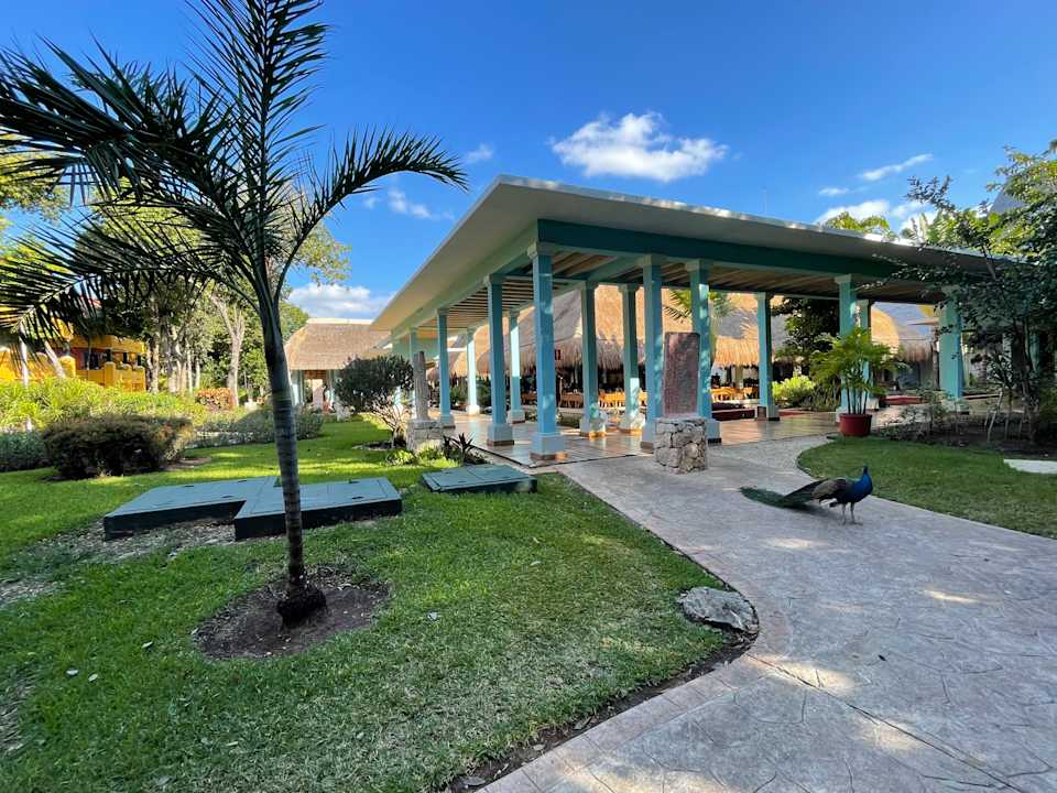 Gastro Iberostar Waves Tucan