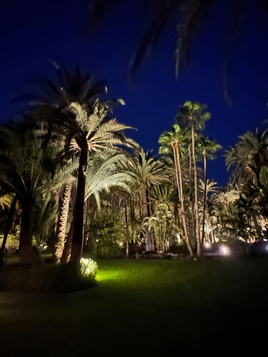 Gartenanlage Hotel Riu Palace Oasis