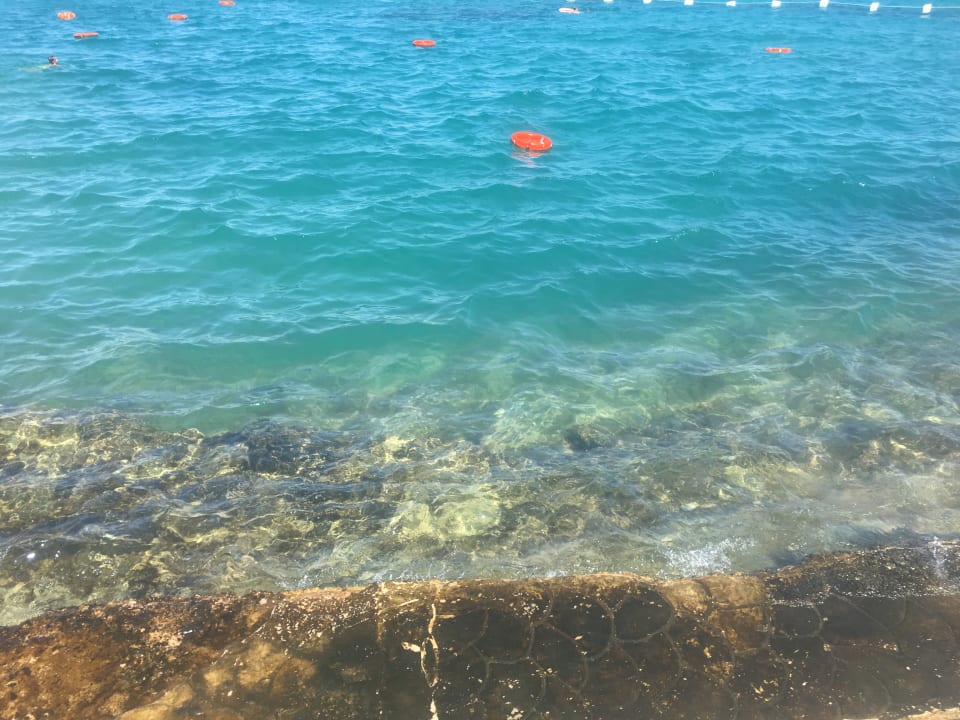 Strand Beach Albatros Resort