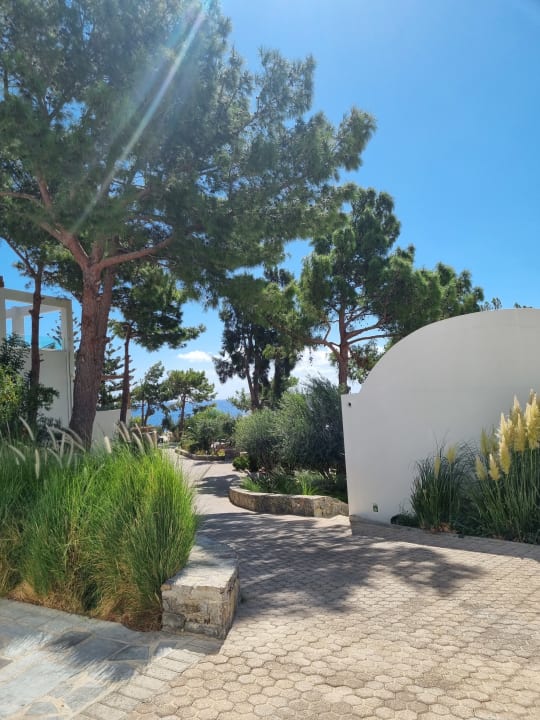 Strand Kakkos Beach Hotel