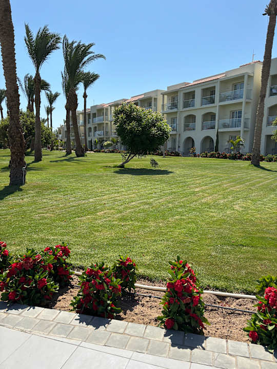 Gartenanlage Pickalbatros Dana Beach Resort - Hurghada