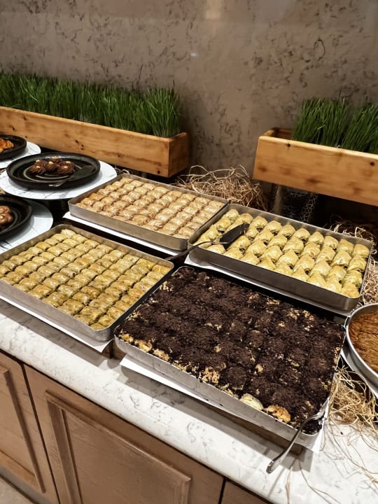 Gastro Acanthus Cennet Barut Collection