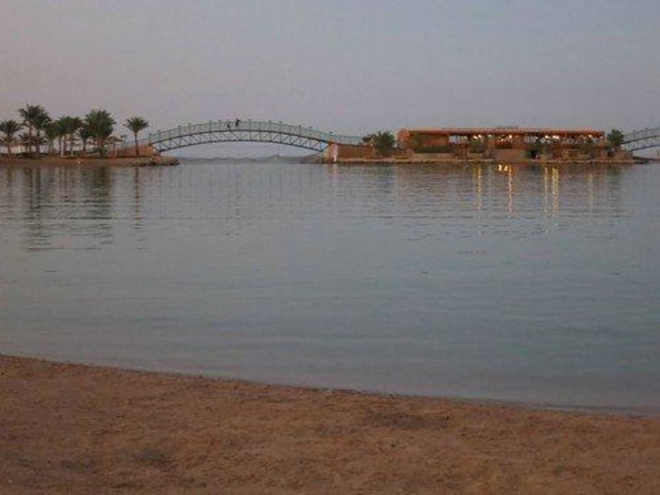 Abends ín der Lagune Desert Rose