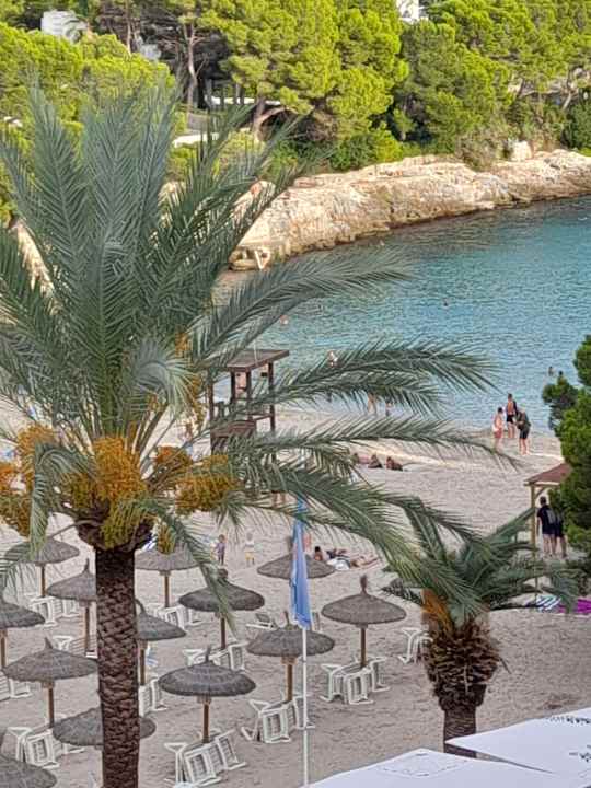 Ausblick Grupotel Rocador