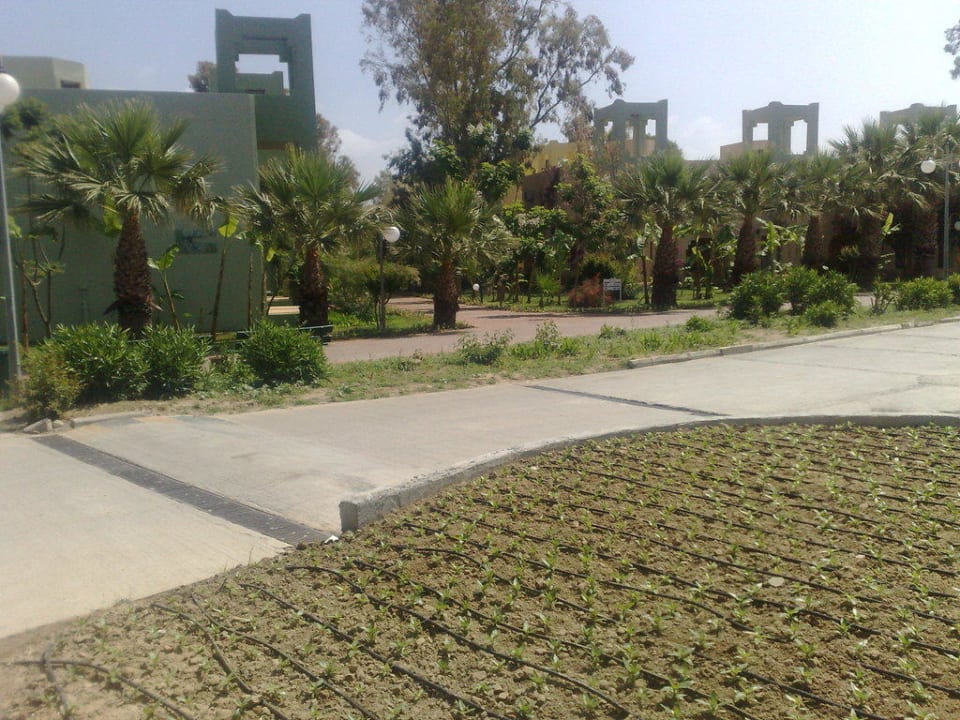 Garten VONRESORT Golden Beach