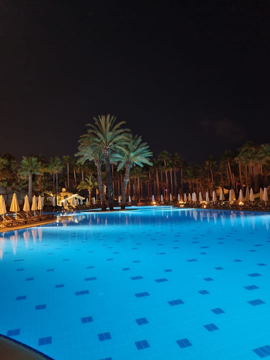 Pool Monachus Family Resort Sorgun