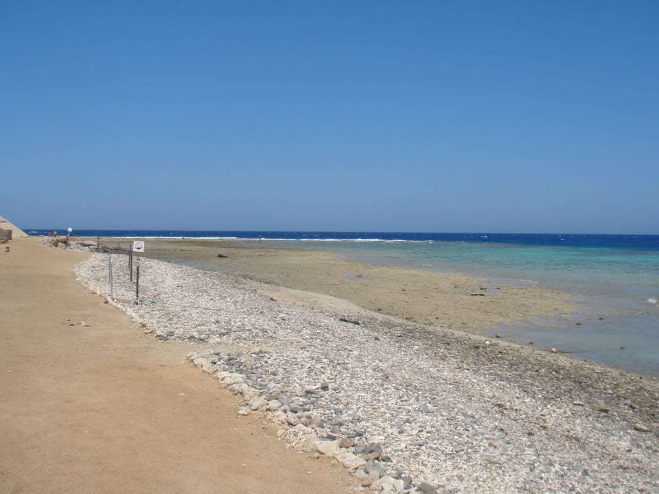 Ebbe Coral Sun Beach