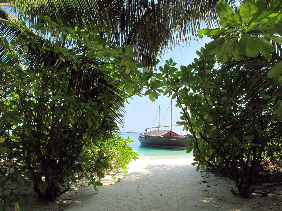 Strand Safari Island Maldives