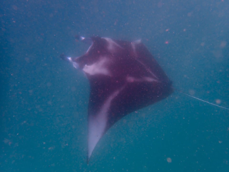 Sport & Freizeit Kihaa Maldives