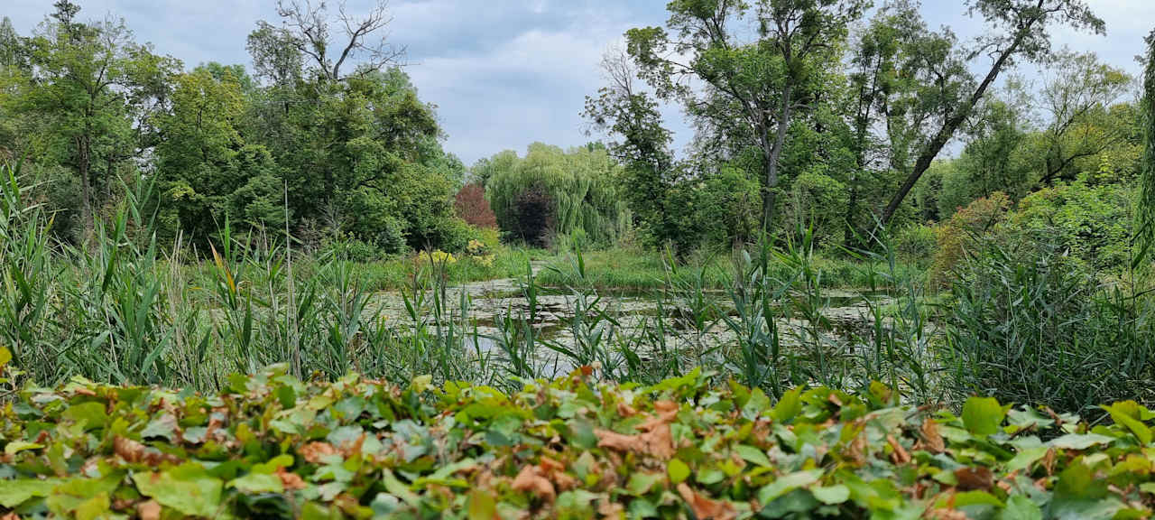 Gartenanlage Pałac i Folwark Galiny