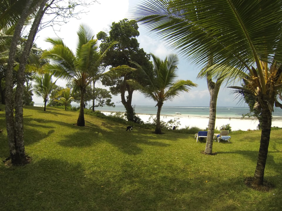 - Baobab Beach Resort & Spa