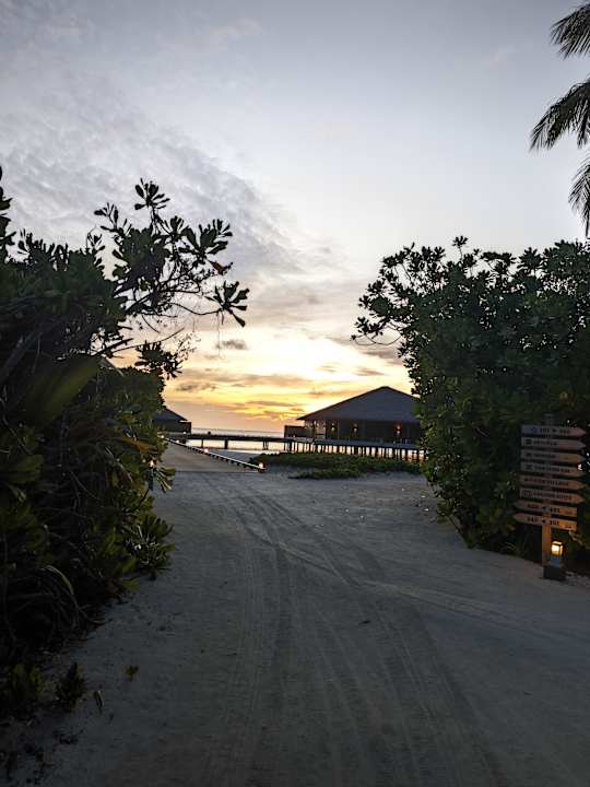 Außenansicht Cocoon Maldives