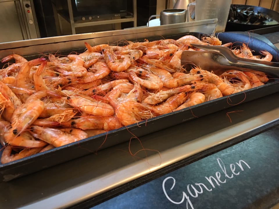 Gastro allsun App.-Hotel Albatros