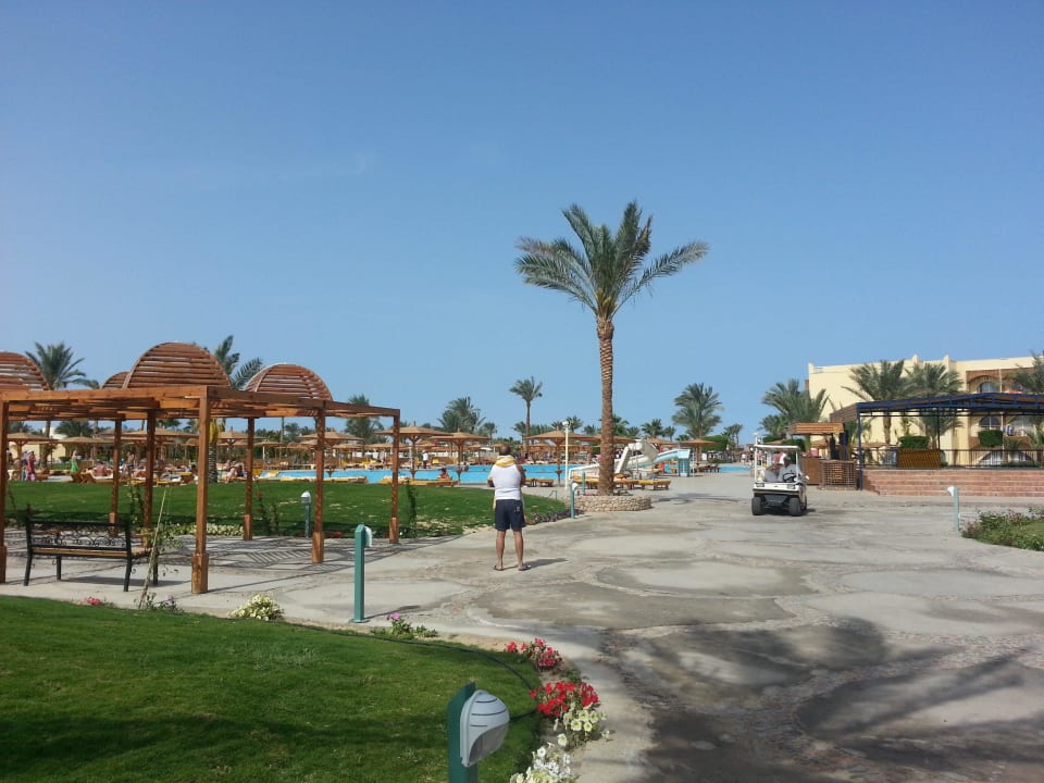 Wegesystem Desert Rose