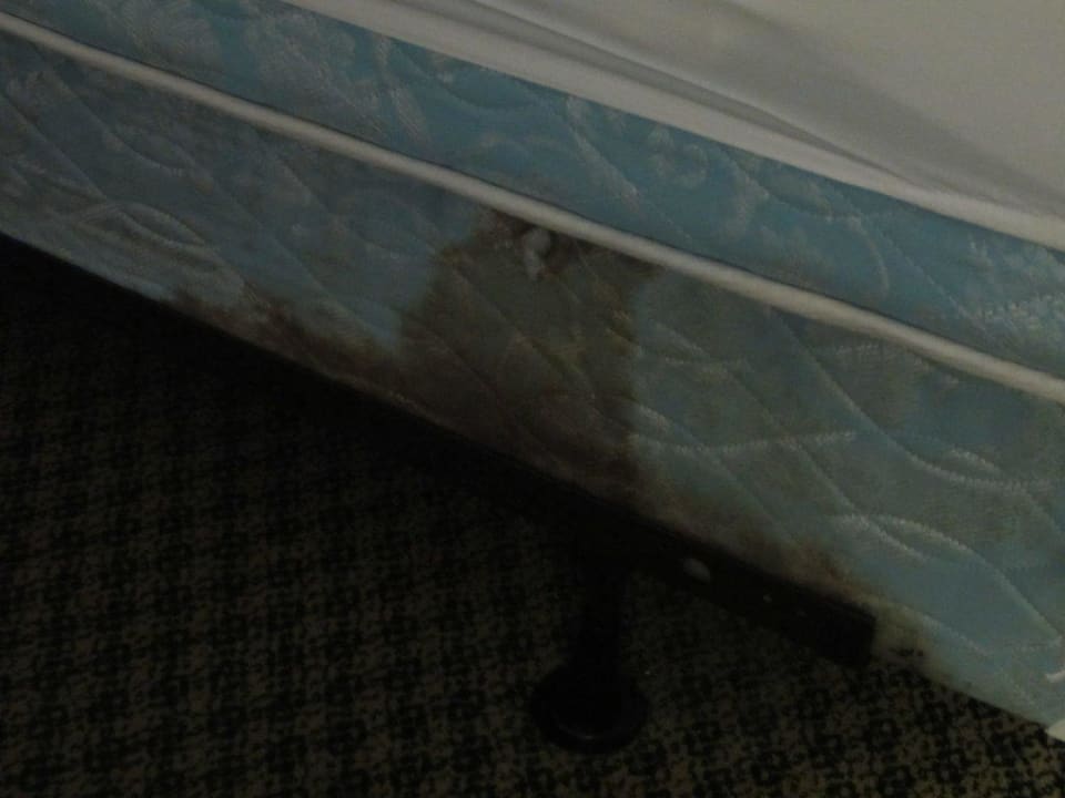 Matratze Vista Inn & Suites Tampa