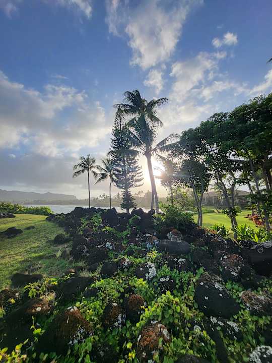 Gartenanlage Kauai Shores Hotel