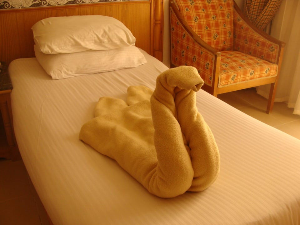 Лебедь Beach Albatros Resort