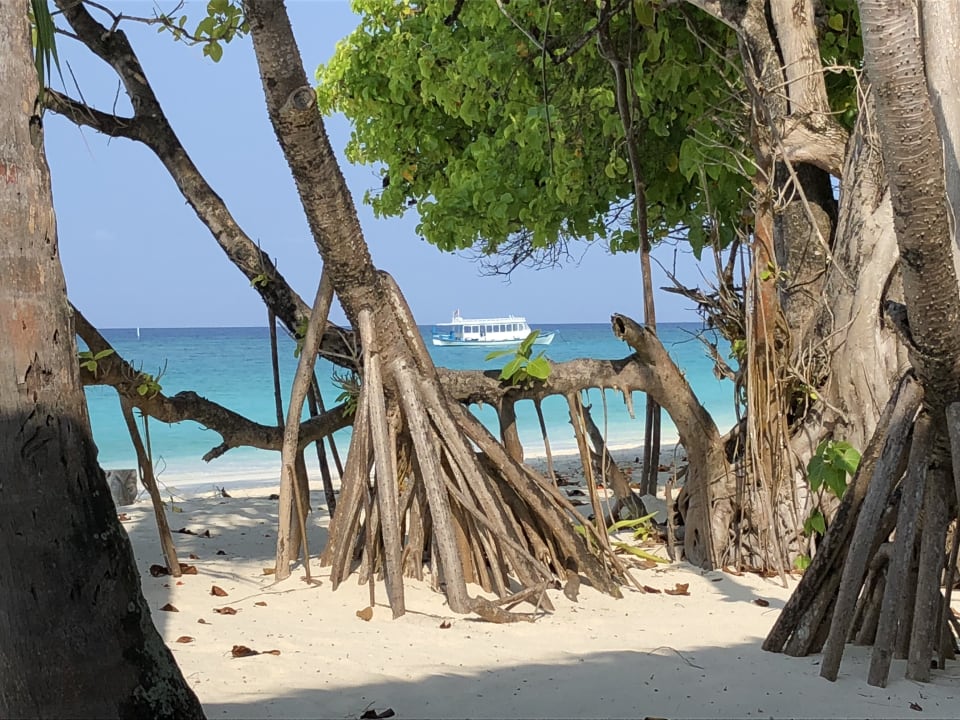 Strand Palm Beach Resort & Spa Maldives