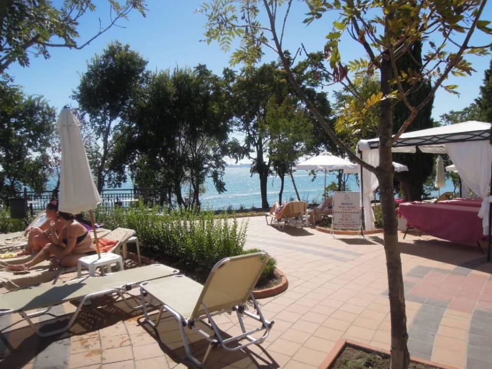 Liegen am Pool Dreams Sunny Beach Resort & Spa