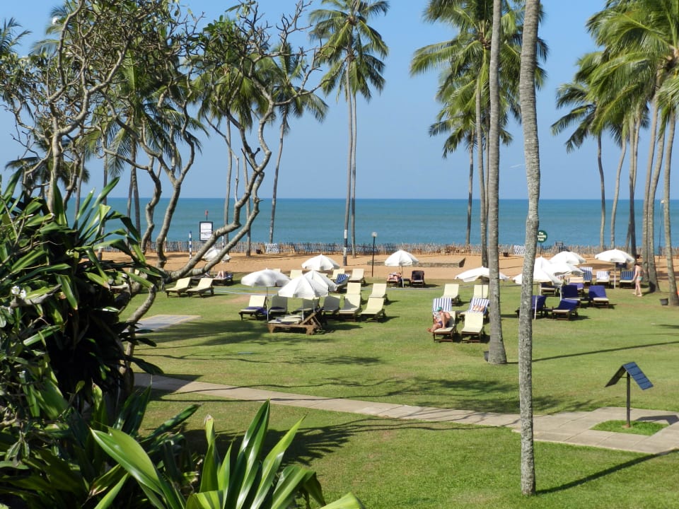 Eigentlich Liegewiese Club Hotel Dolphin