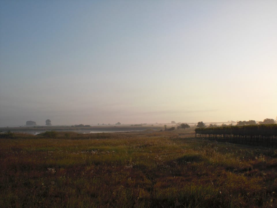 Steppenlandschaft im Seewinkel mit Weingaren Weingut & Landhaus Willi Opitz