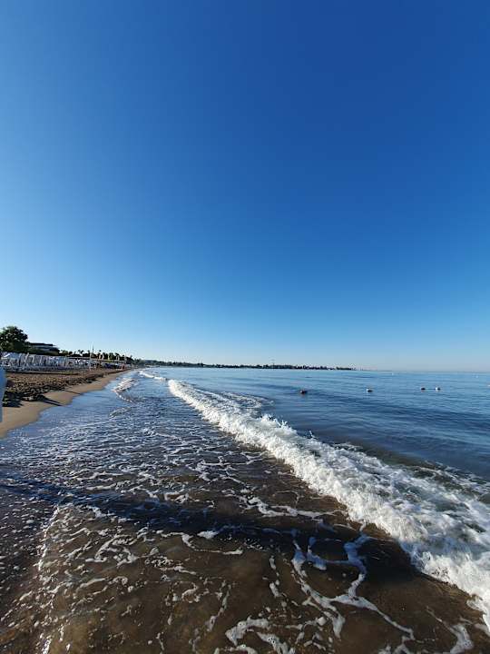 Strand Side Star Elegance