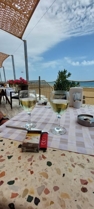 Gastro Seashell Vega